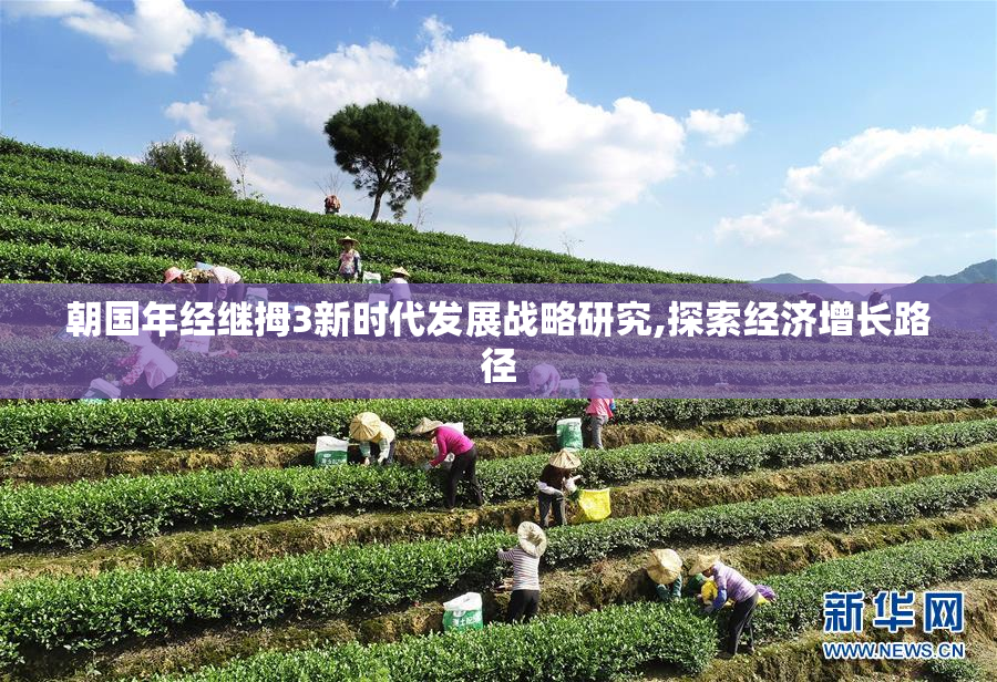 朝国年经继拇3新时代发展战略研究,探索经济增长路径