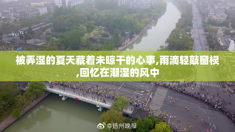 被弄湿的夏天藏着未晾干的心事,雨滴轻敲窗棂,回忆在潮湿的风中