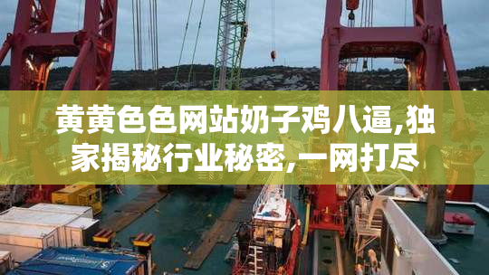 黄黄色色网站奶子鸡八逼,独家揭秘行业秘密,一网打尽
