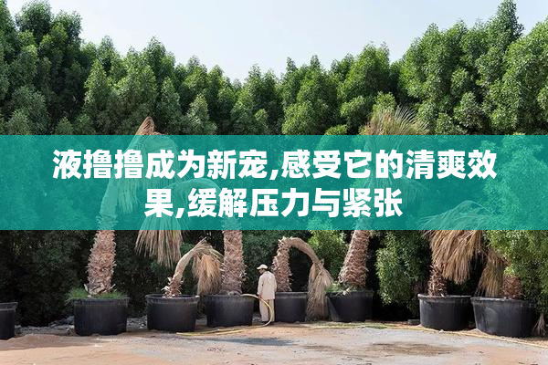 液撸撸成为新宠,感受它的清爽效果,缓解压力与紧张