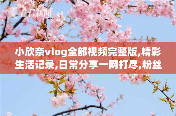 小欣奈vlog全部视频完整版,精彩生活记录,日常分享一网打尽,粉丝
