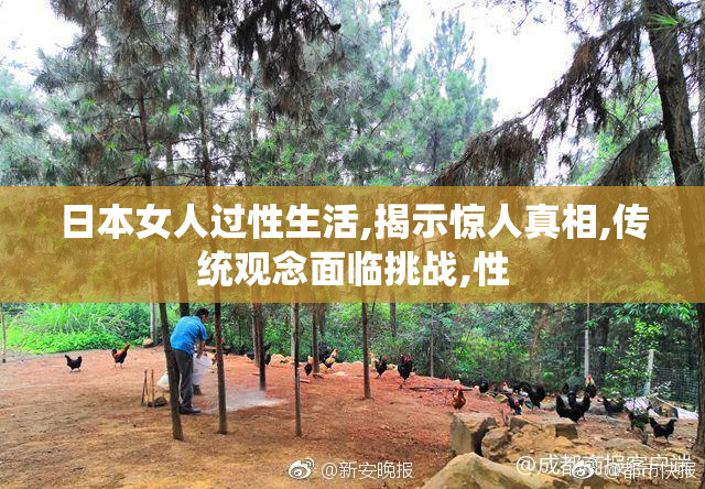 日本女人过性生活,揭示惊人真相,传统观念面临挑战,性