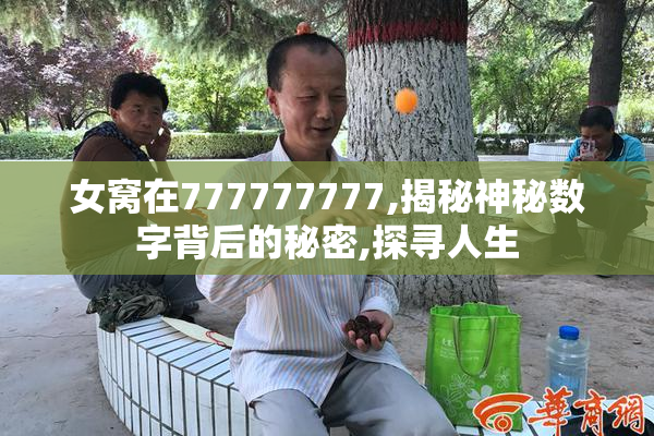 女窝在777777777,揭秘神秘数字背后的秘密,探寻人生