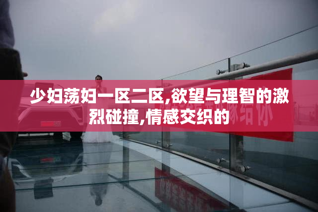 少妇荡妇一区二区,欲望与理智的激烈碰撞,情感交织的