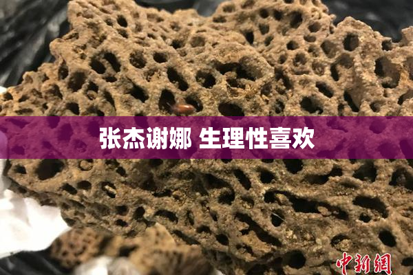张杰谢娜 生理性喜欢
