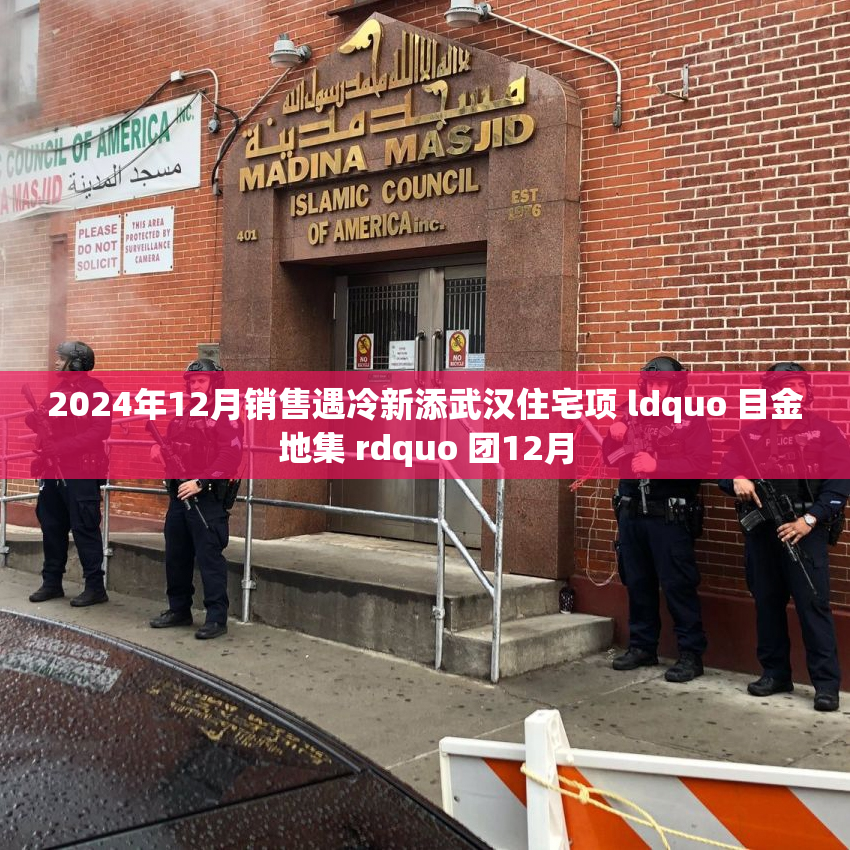 2024年12月销售遇冷新添武汉住宅项 ldquo 目金地集 rdquo 团12月