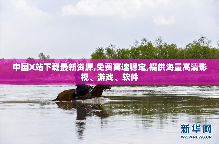 中国X站下载最新资源,免费高速稳定,提供海量高清影视、游戏、软件