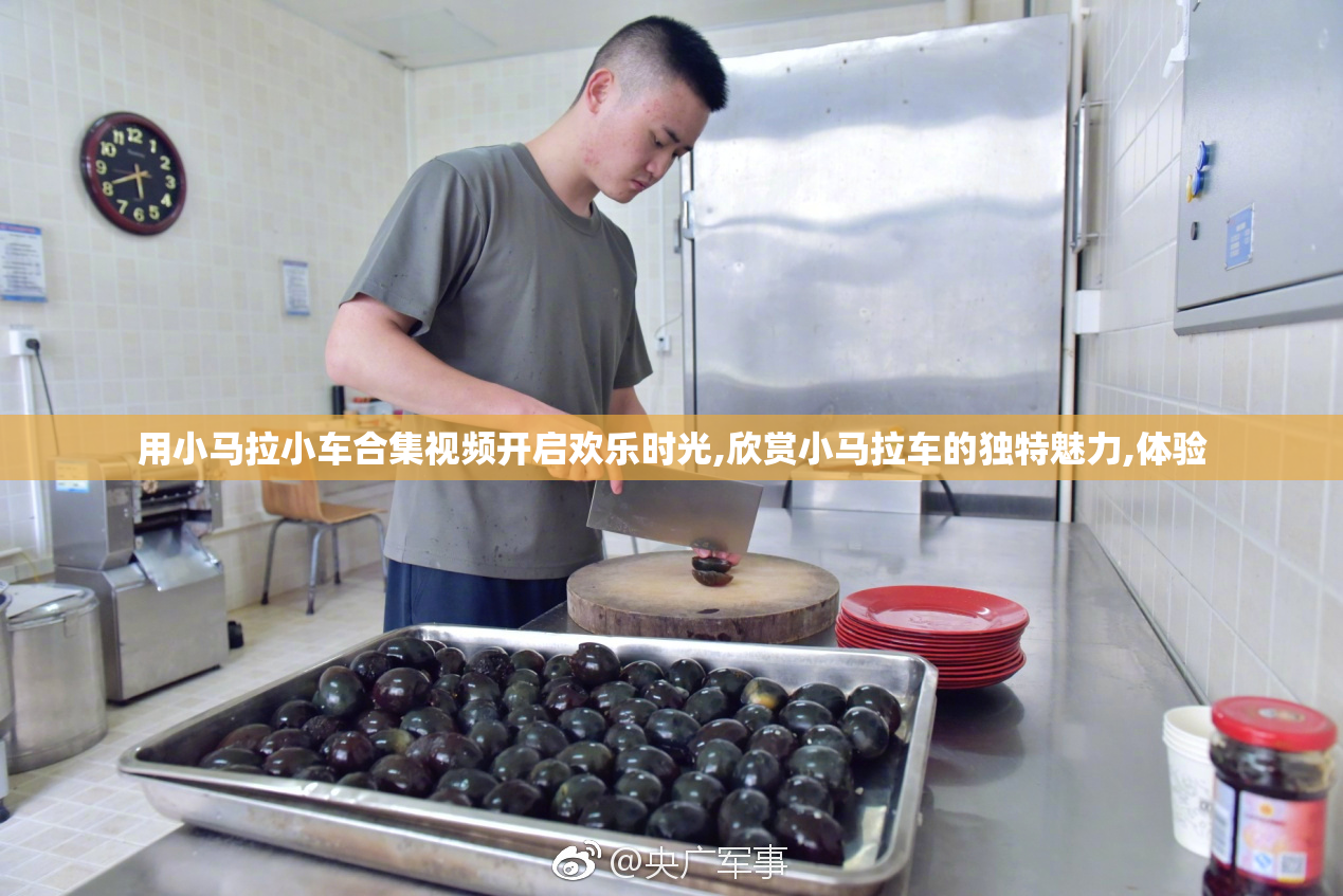 用小马拉小车合集视频开启欢乐时光,欣赏小马拉车的独特魅力,体验