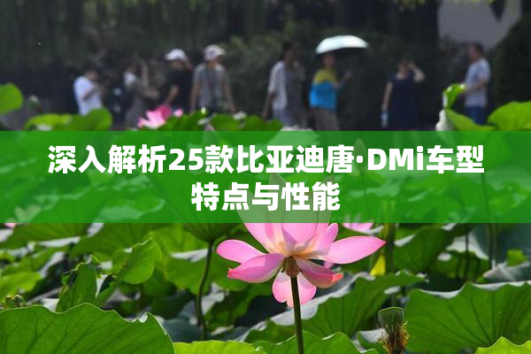 深入解析25款比亚迪唐·DMi车型特点与性能