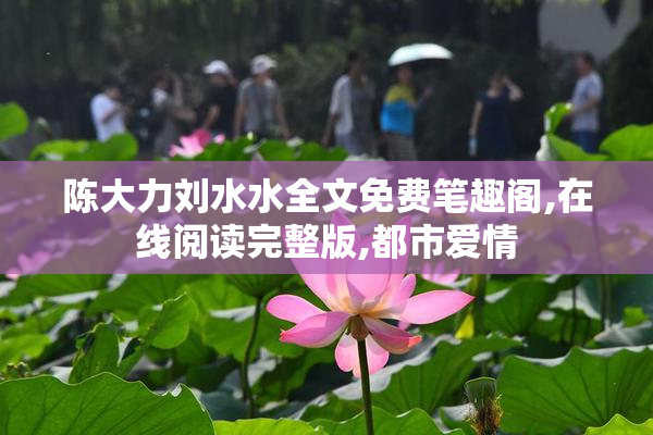 陈大力刘水水全文免费笔趣阁,在线阅读完整版,都市爱情