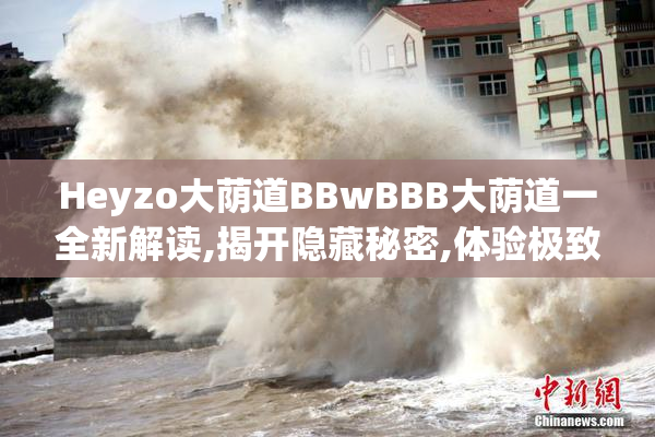 Heyzo大荫道BBwBBB大荫道一全新解读,揭开隐藏秘密,体验极致视觉