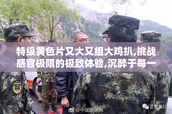 特级黄色片又大又组大鸡扒,挑战感官极限的极致体验,沉醉于每一个