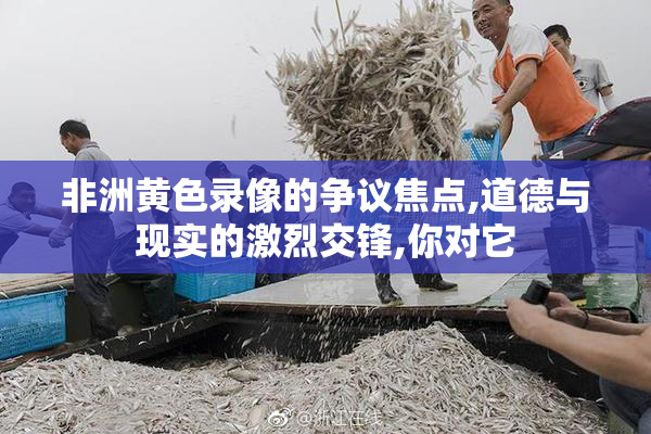 非洲黄色录像的争议焦点,道德与现实的激烈交锋,你对它
