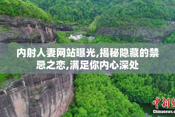 内射人妻网站曝光,揭秘隐藏的禁忌之恋,满足你内心深处