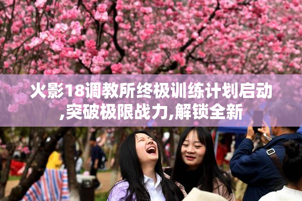 火影18调教所终极训练计划启动,突破极限战力,解锁全新