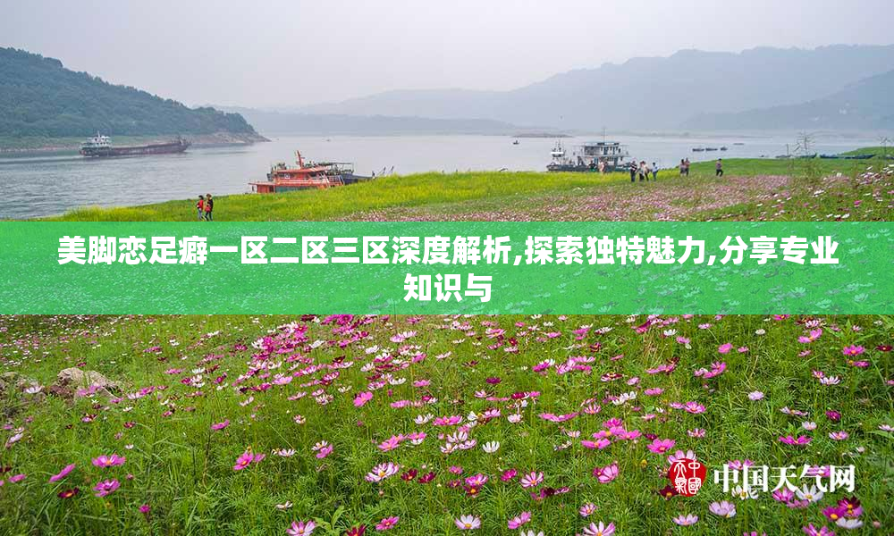 美脚恋足癖一区二区三区深度解析,探索独特魅力,分享专业知识与