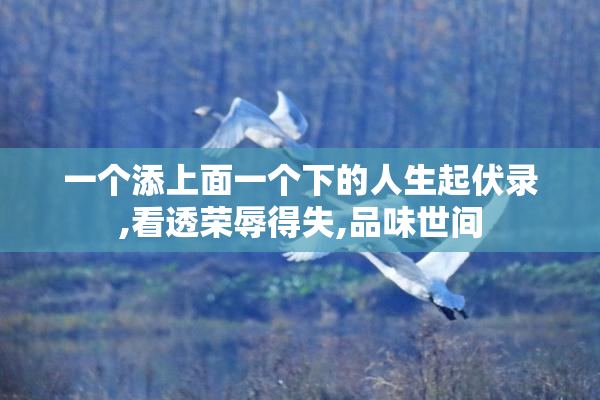 一个添上面一个下的人生起伏录,看透荣辱得失,品味世间