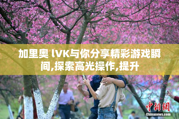 加里奥 lVK与你分享精彩游戏瞬间,探索高光操作,提升