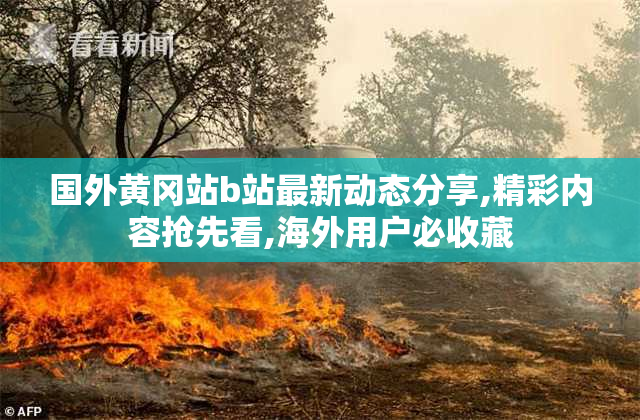 国外黄冈站b站最新动态分享,精彩内容抢先看,海外用户必收藏