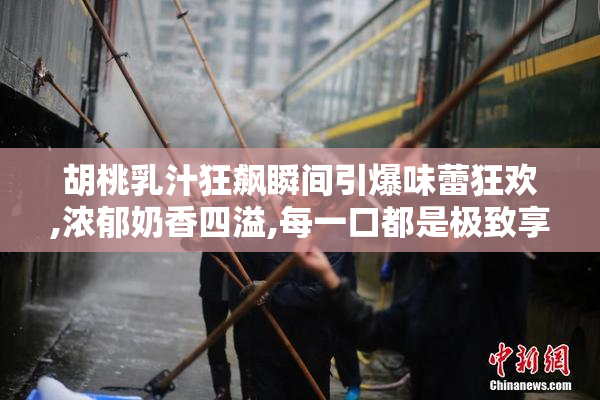 胡桃乳汁狂飙瞬间引爆味蕾狂欢,浓郁奶香四溢,每一口都是极致享受
