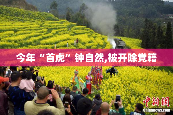 今年“首虎”钟自然,被开除党籍