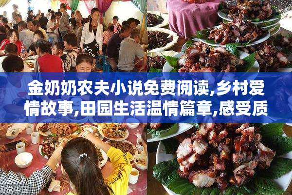 金奶奶农夫小说免费阅读,乡村爱情故事,田园生活温情篇章,感受质朴