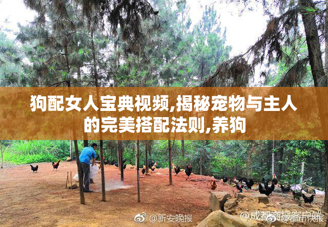 狗配女人宝典视频,揭秘宠物与主人的完美搭配法则,养狗