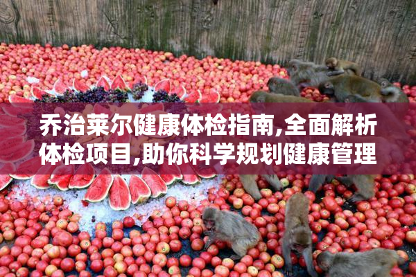 乔治莱尔健康体检指南,全面解析体检项目,助你科学规划健康管理