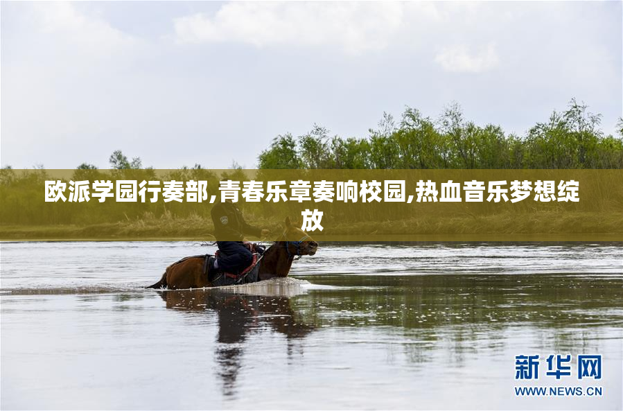 欧派学园行奏部,青春乐章奏响校园,热血音乐梦想绽放