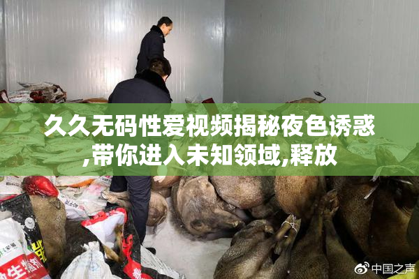 久久无码性爱视频揭秘夜色诱惑,带你进入未知领域,释放