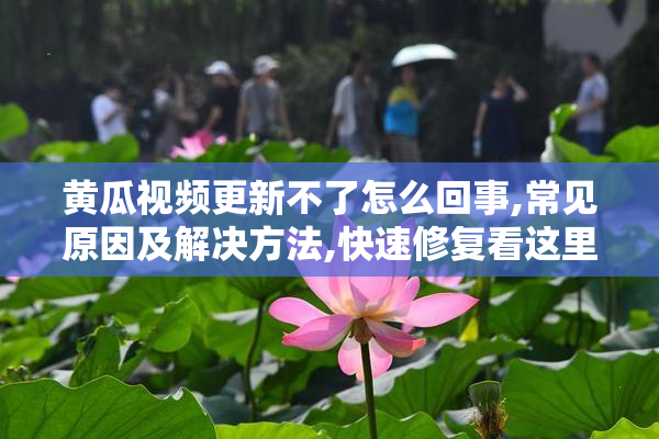 黄瓜视频更新不了怎么回事,常见原因及解决方法,快速修复看这里