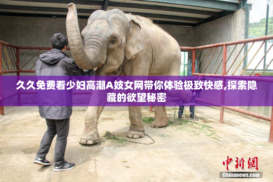 久久免费看少妇高潮A妓女网带你体验极致快感,探索隐藏的欲望秘密