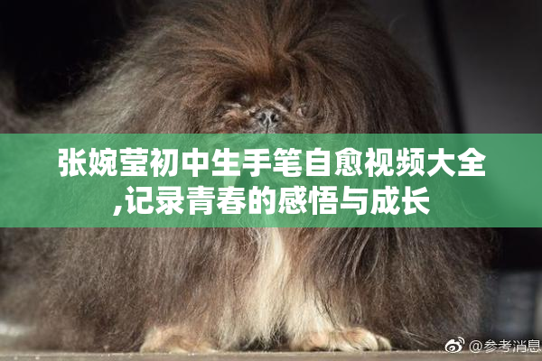 张婉莹初中生手笔自愈视频大全,记录青春的感悟与成长