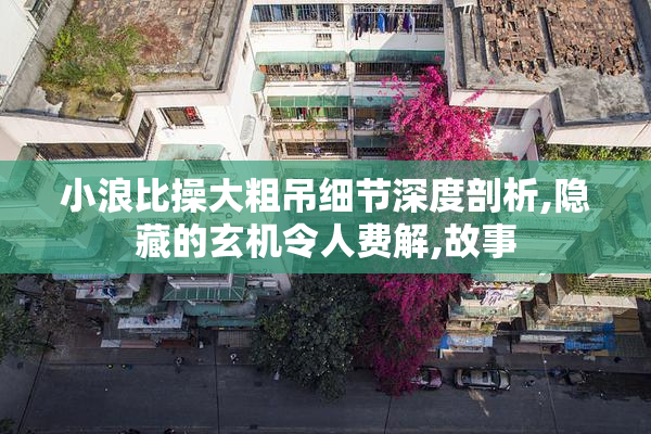 小浪比操大粗吊细节深度剖析,隐藏的玄机令人费解,故事