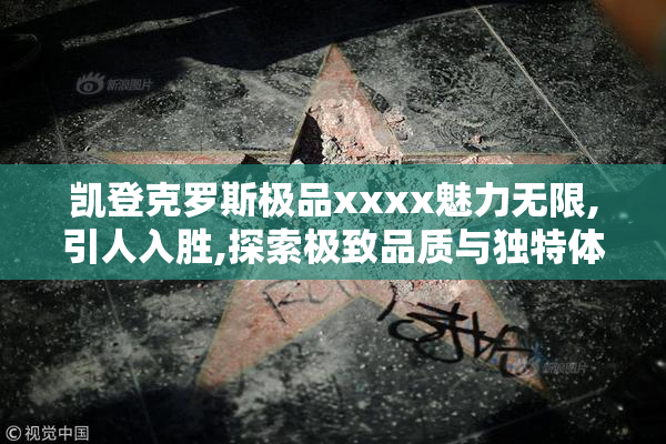凯登克罗斯极品xxxx魅力无限,引人入胜,探索极致品质与独特体验