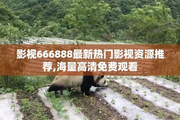 影视666888最新热门影视资源推荐,海量高清免费观看
