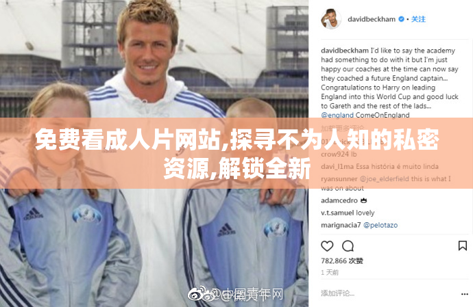 免费看成人片网站,探寻不为人知的私密资源,解锁全新