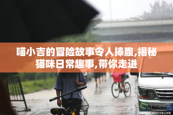 喵小吉的冒险故事令人捧腹,揭秘猫咪日常趣事,带你走进