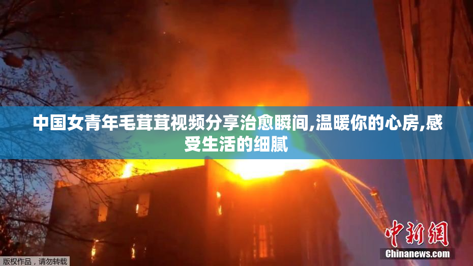 中国女青年毛茸茸视频分享治愈瞬间,温暖你的心房,感受生活的细腻