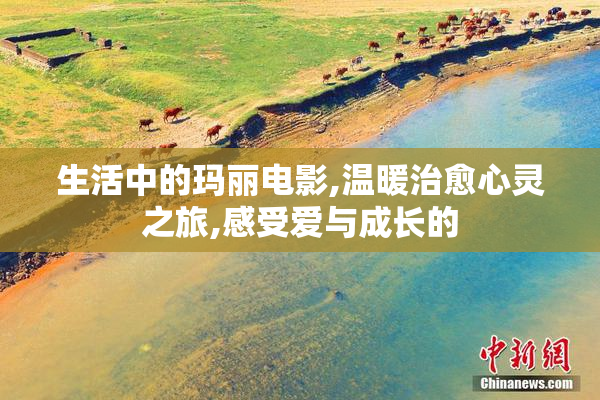 生活中的玛丽电影,温暖治愈心灵之旅,感受爱与成长的
