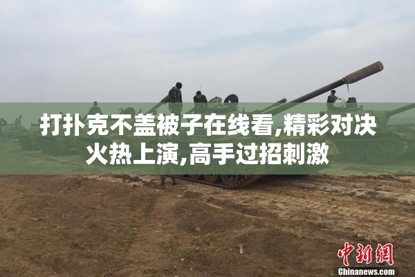 打扑克不盖被子在线看,精彩对决火热上演,高手过招刺激