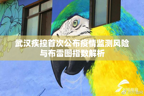 武汉疾控首次公布疫情监测风险与布雷图指数解析