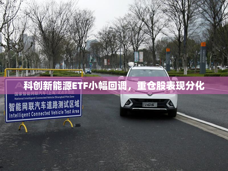 科创新能源ETF小幅回调，重仓股表现分化