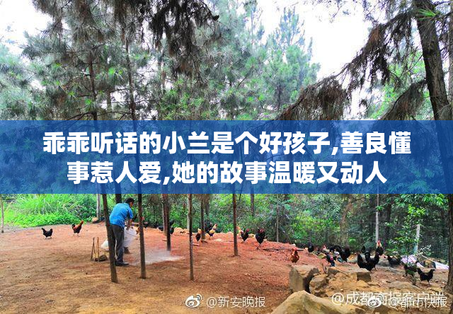 乖乖听话的小兰是个好孩子,善良懂事惹人爱,她的故事温暖又动人