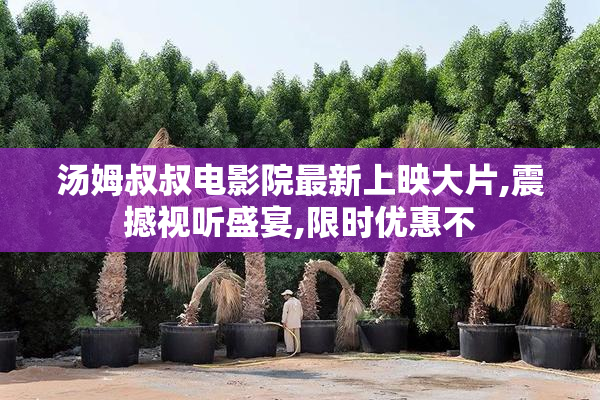 汤姆叔叔电影院最新上映大片,震撼视听盛宴,限时优惠不