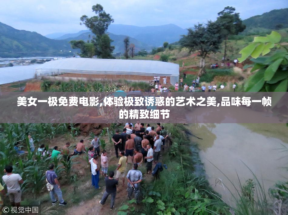 美女一极免费电影,体验极致诱惑的艺术之美,品味每一帧的精致细节