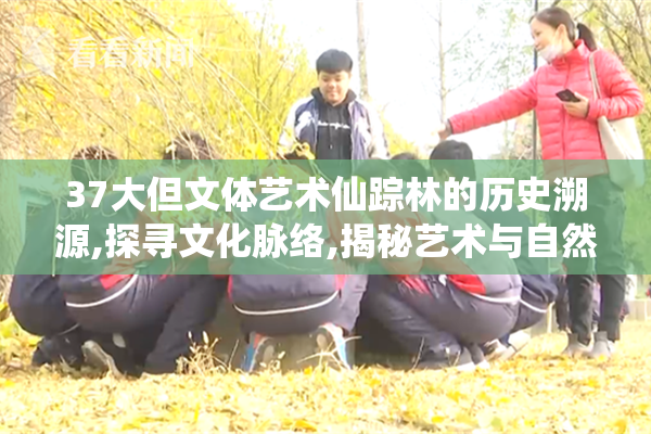37大但文体艺术仙踪林的历史溯源,探寻文化脉络,揭秘艺术与自然的