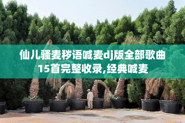 仙儿骚麦秽语喊麦dj版全部歌曲15首完整收录,经典喊麦