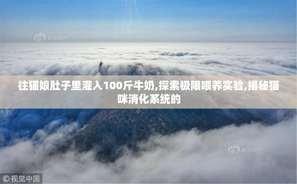 往猫娘肚子里灌入100斤牛奶,探索极限喂养实验,揭秘猫咪消化系统的