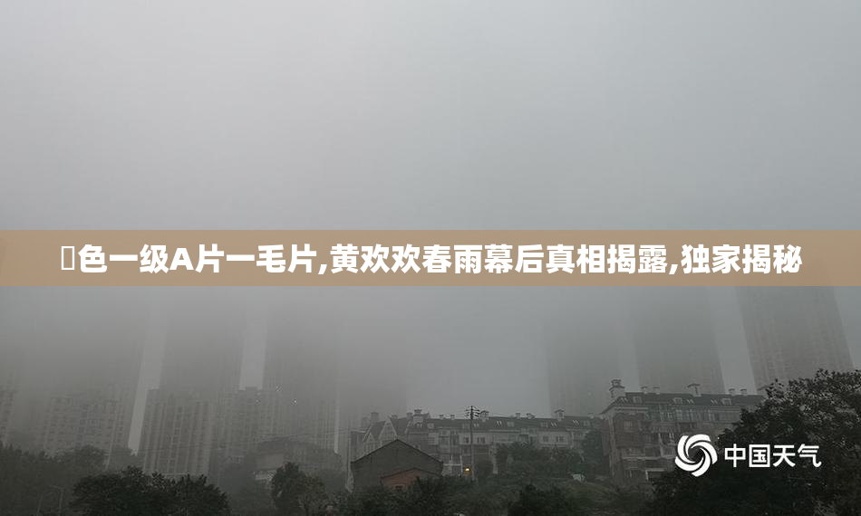 黃色一级A片一毛片,黄欢欢春雨幕后真相揭露,独家揭秘